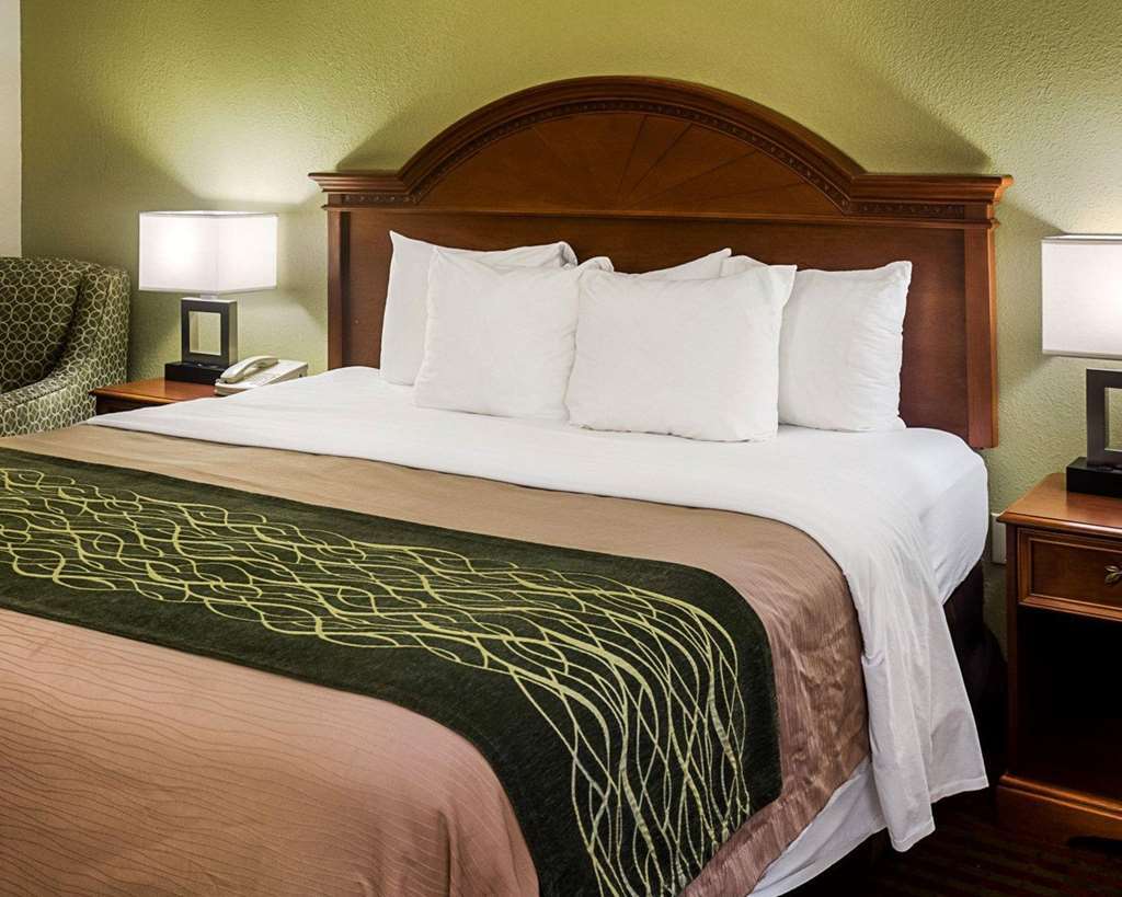 Comfort Inn Newport News - Hampton I-64 Oda fotoğraf